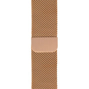 Apple Tag - Silvertag Shop