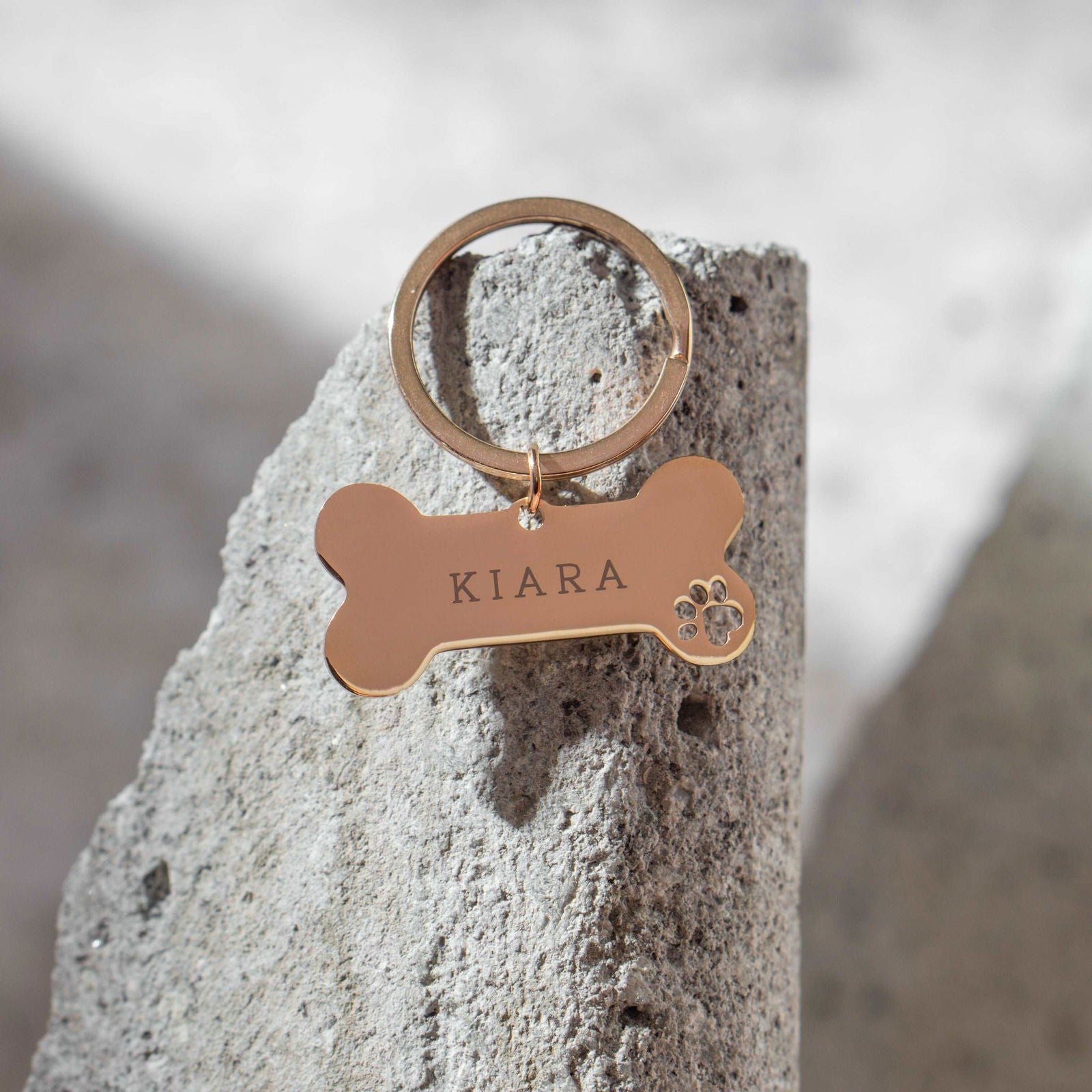 Pet tags - Silvertag Shop