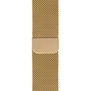 Apple Tag - Silvertag Shop - Apple Tag - Silvertag Shop - Correa apple tag dorada -  